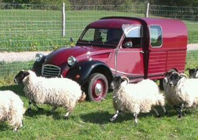 2cv_charleston_besteleend_03